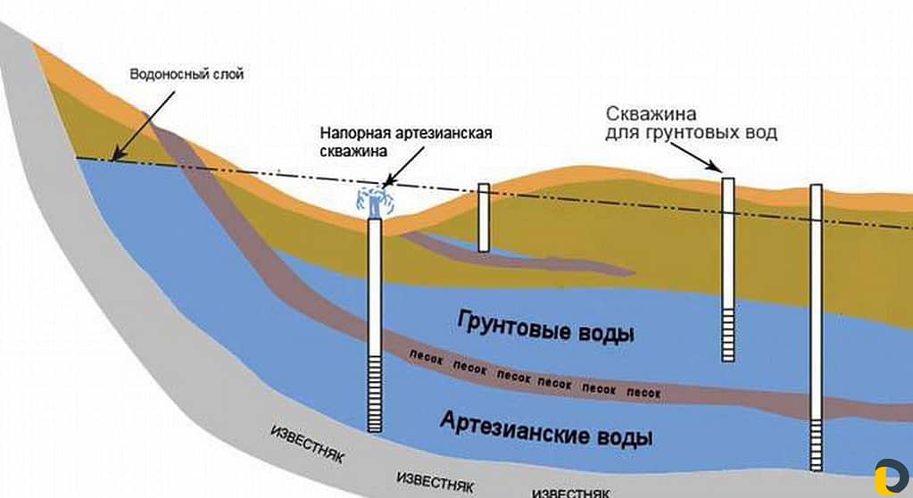 Главная